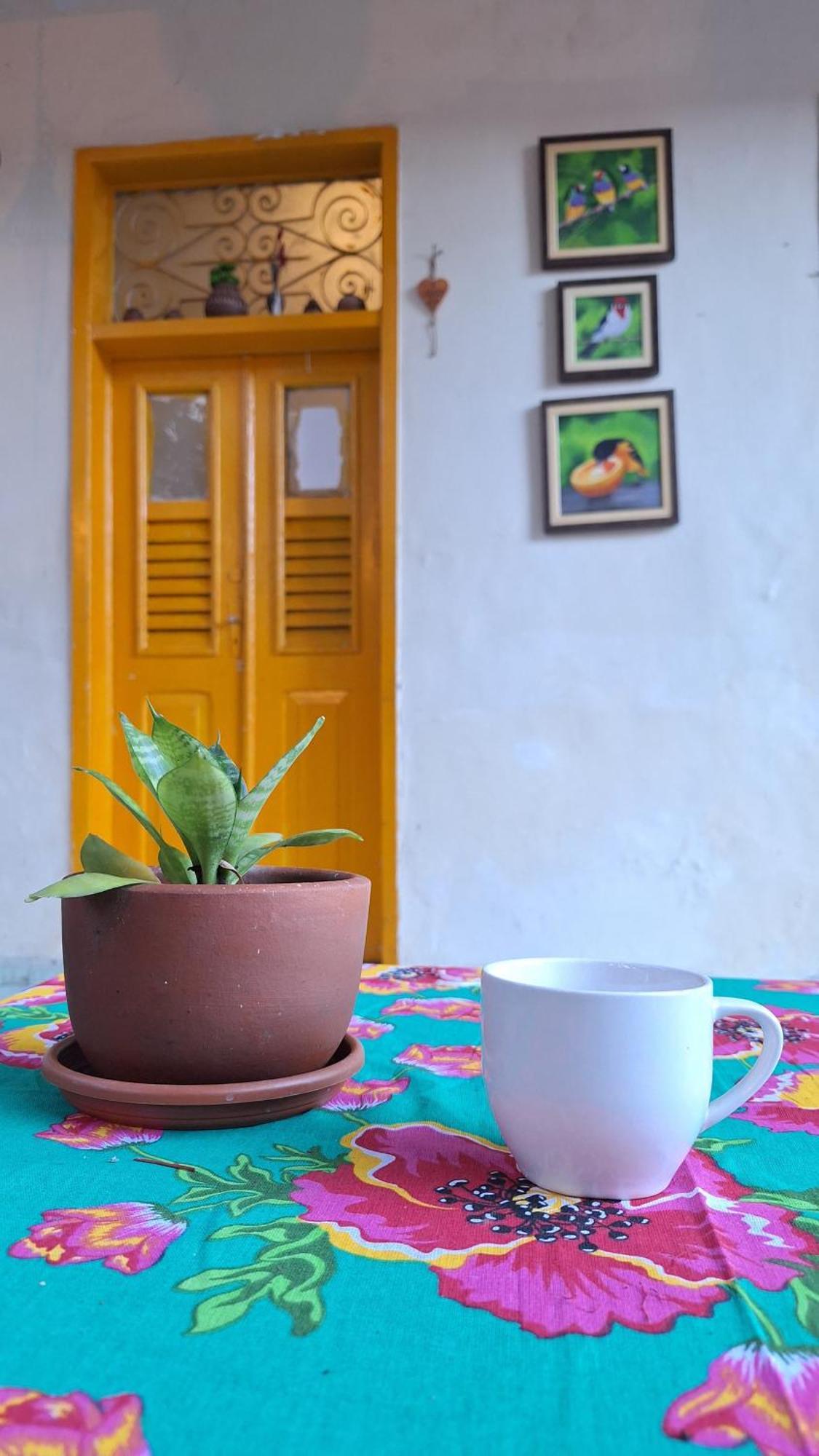 Hostel Recife Bar Quartos Climatizados Das 22H As 8H エクステリア 写真
